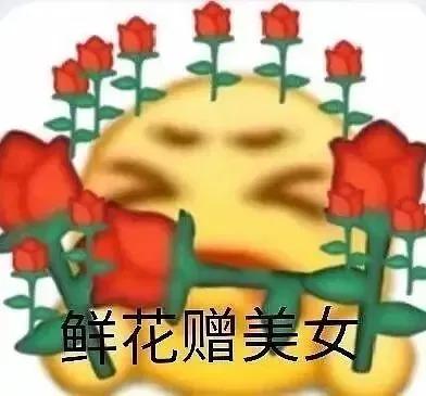 可爱表情包  鲜花赠美人