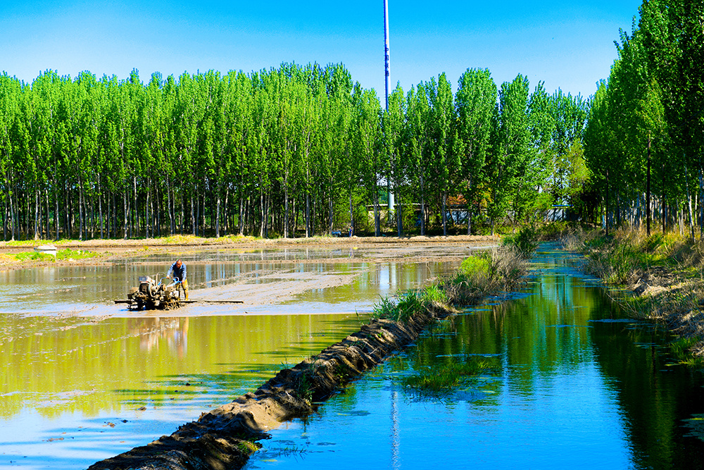 唐山曹妃甸：突破盐碱地改土降盐关键技术