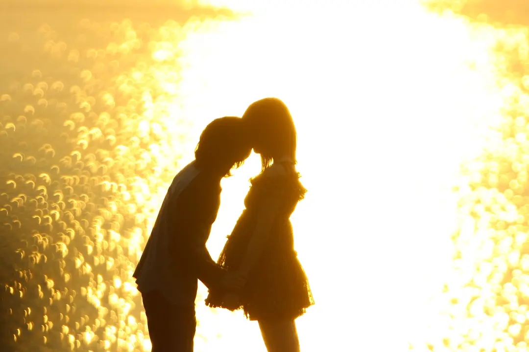 善良缺失+自然罪恶=一场永远不会结束的《告白》