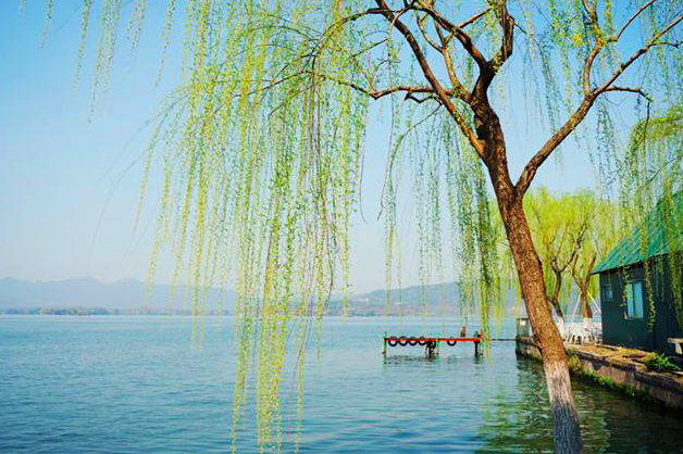 譬如,唐代诗人贺知章的代表作品《咏柳》,就是一首描写春天典型景物