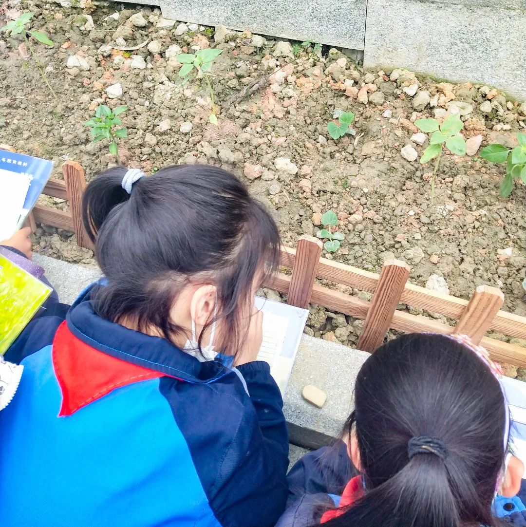 黄甲小学开展“人人参与科技节，我的科技节我做主”科技节活动