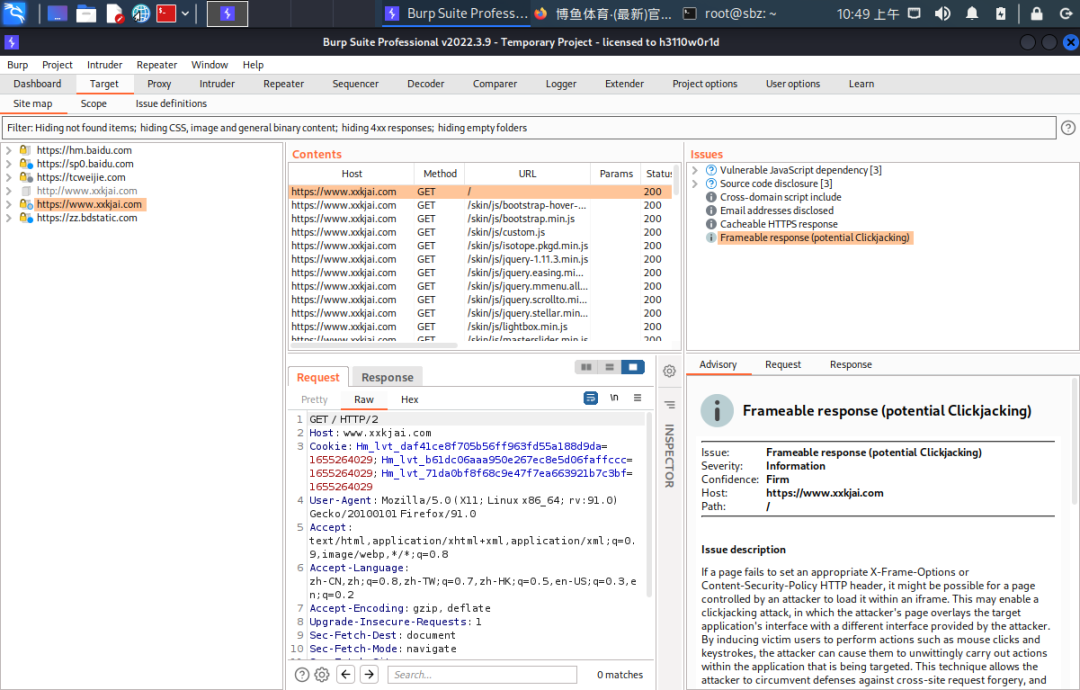 Web渗透_扫描工具Burpsuite