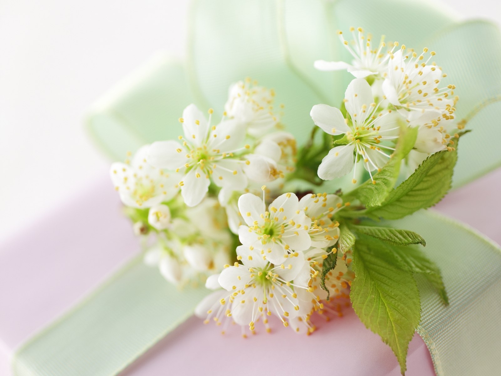 关于完美的话题的说说配图「简短」 _qq说说网