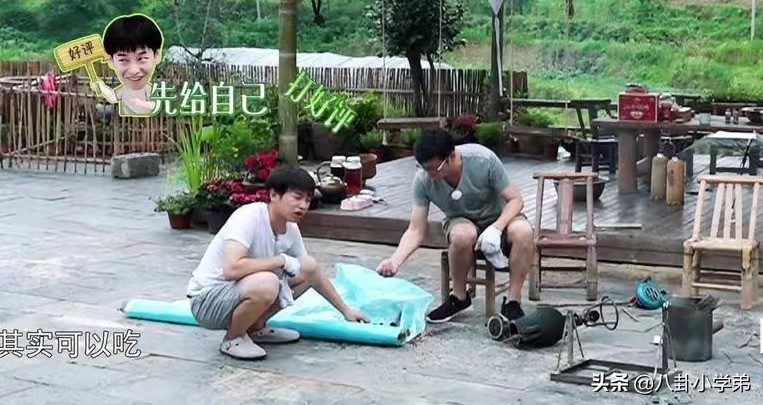 这5位明星好敢说！杨颖回应假吃，宋丹丹：杨紫张一山绝对好不了