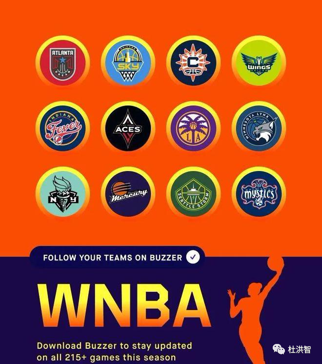 wNBA有几支球队(2022新赛季WNBA十二支球队前瞻（希望大家好好收藏）)