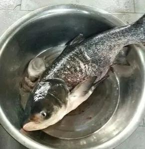 《鱼头泡饼》想要做好吃真的很难吗。 今天教给你