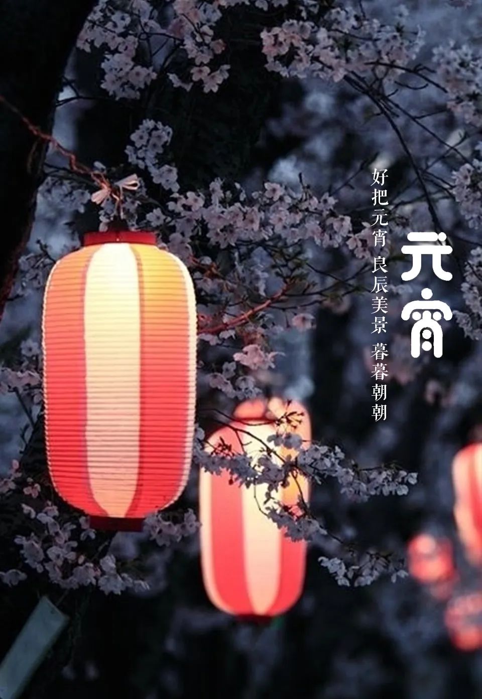 「美文美图」元宵节 | 好把元宵 良辰美景 暮暮朝朝
