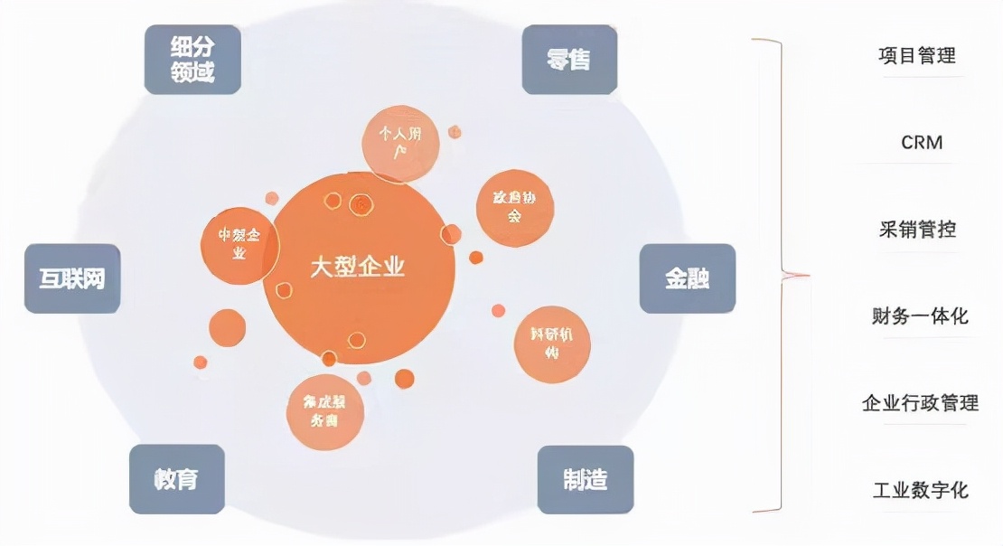 精准赋能独角兽企业信息化建设的低代码