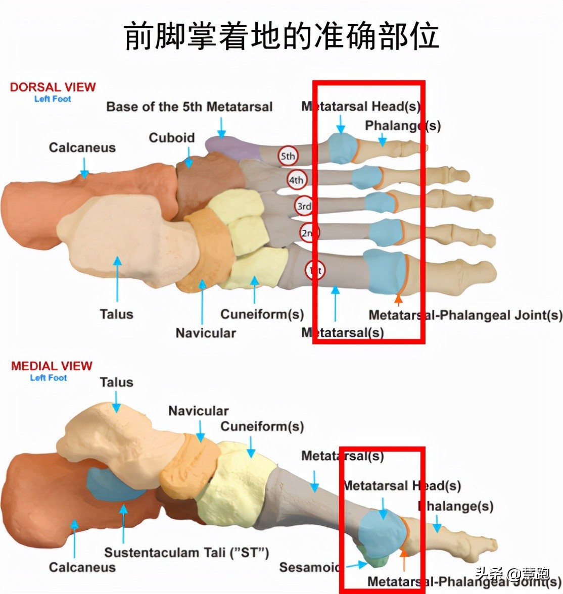 风靡日本的超慢跑法究竟是什么？适合减肥和小白跑者的跑步方法