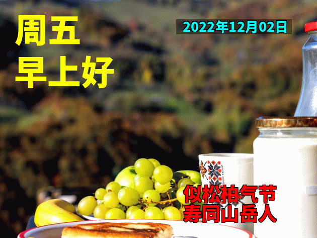 一声早上好，愿友开心整天、幸福每一天，一声祝福、一生朋友图片