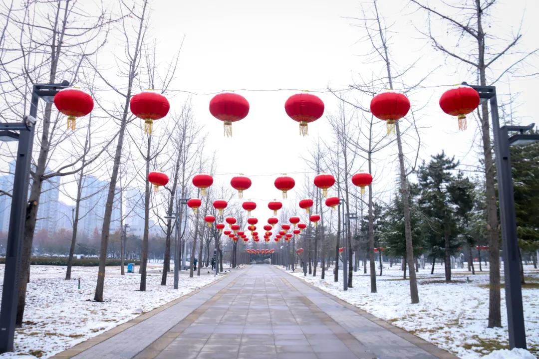 ����ĵ�һ������ѩ�������Ķ�����