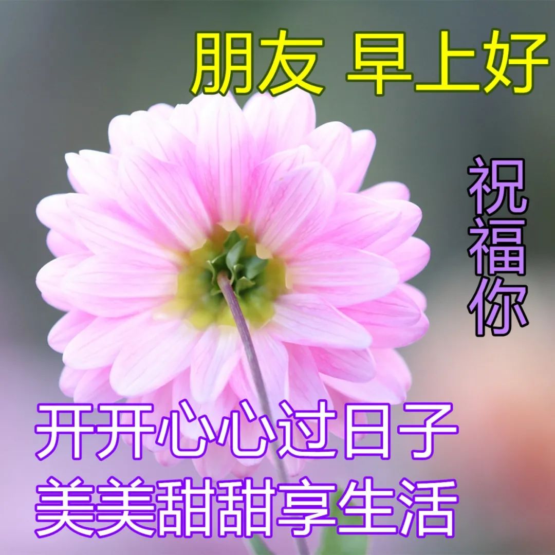 2022.04.28早安心语，唯美励志正能量句子，愿你每天开开心心