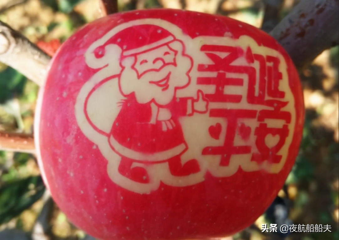 今天是平安夜，這些冷知識你知道嗎？