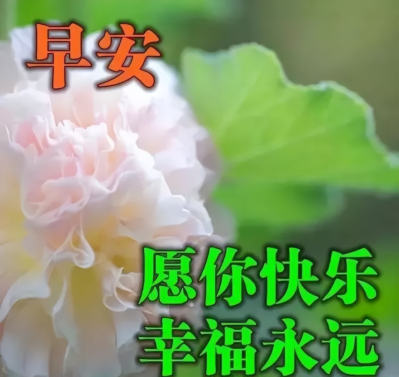 早上好朋友，微信早上好问候语专辑 不要仰慕别人，自己亦是风景图片