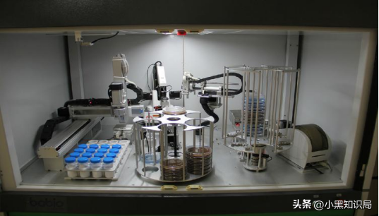 怎么利用生物质(自动生物质如何利用)