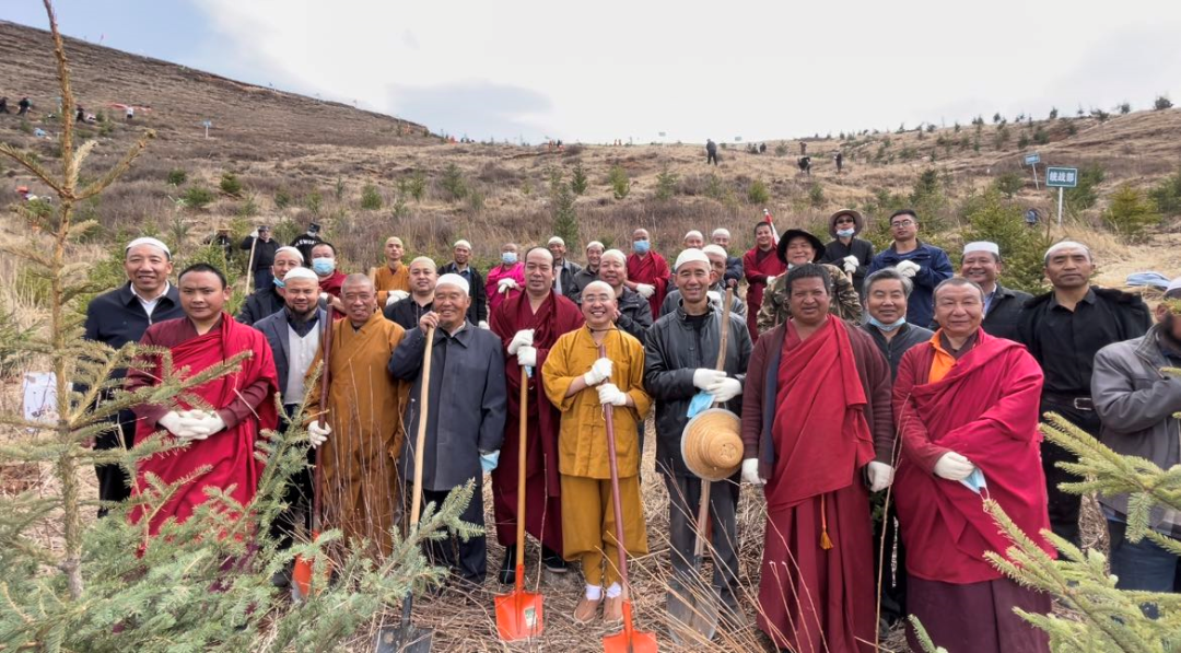 【我为临潭添新绿】临潭县宗教界人士共植“民族团结树”