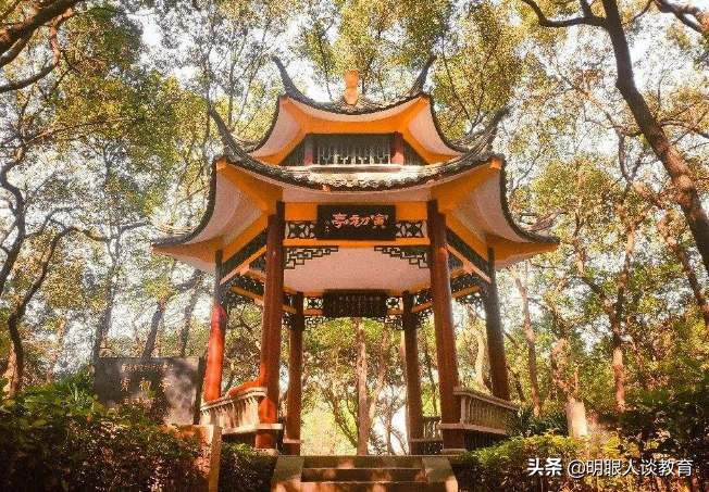 重庆大学2021四川专业分数线出炉,最低分仅607分，全部按大类招生