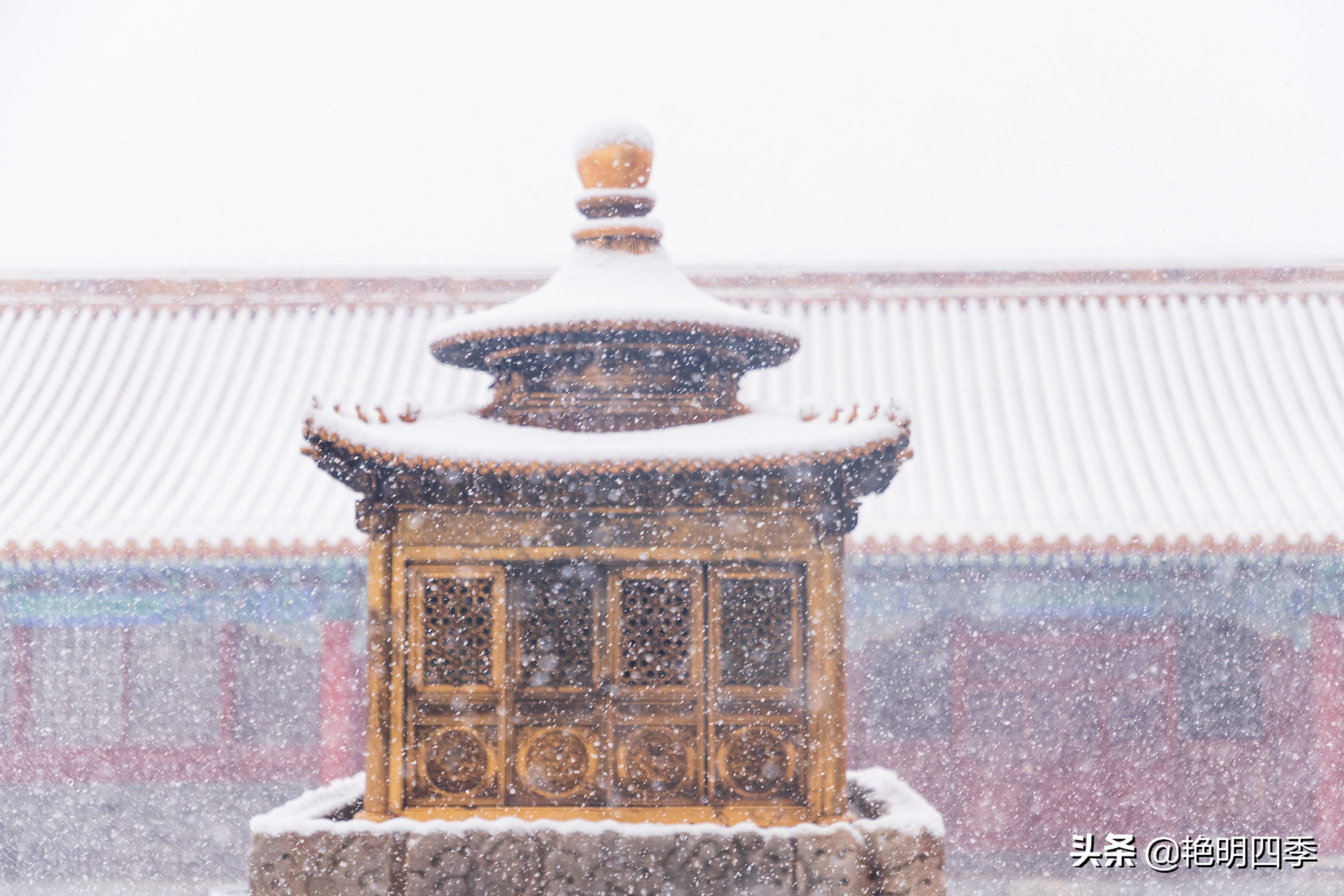 春天里，在紫禁城看一场大雪，与冬天做一个郑重的告别