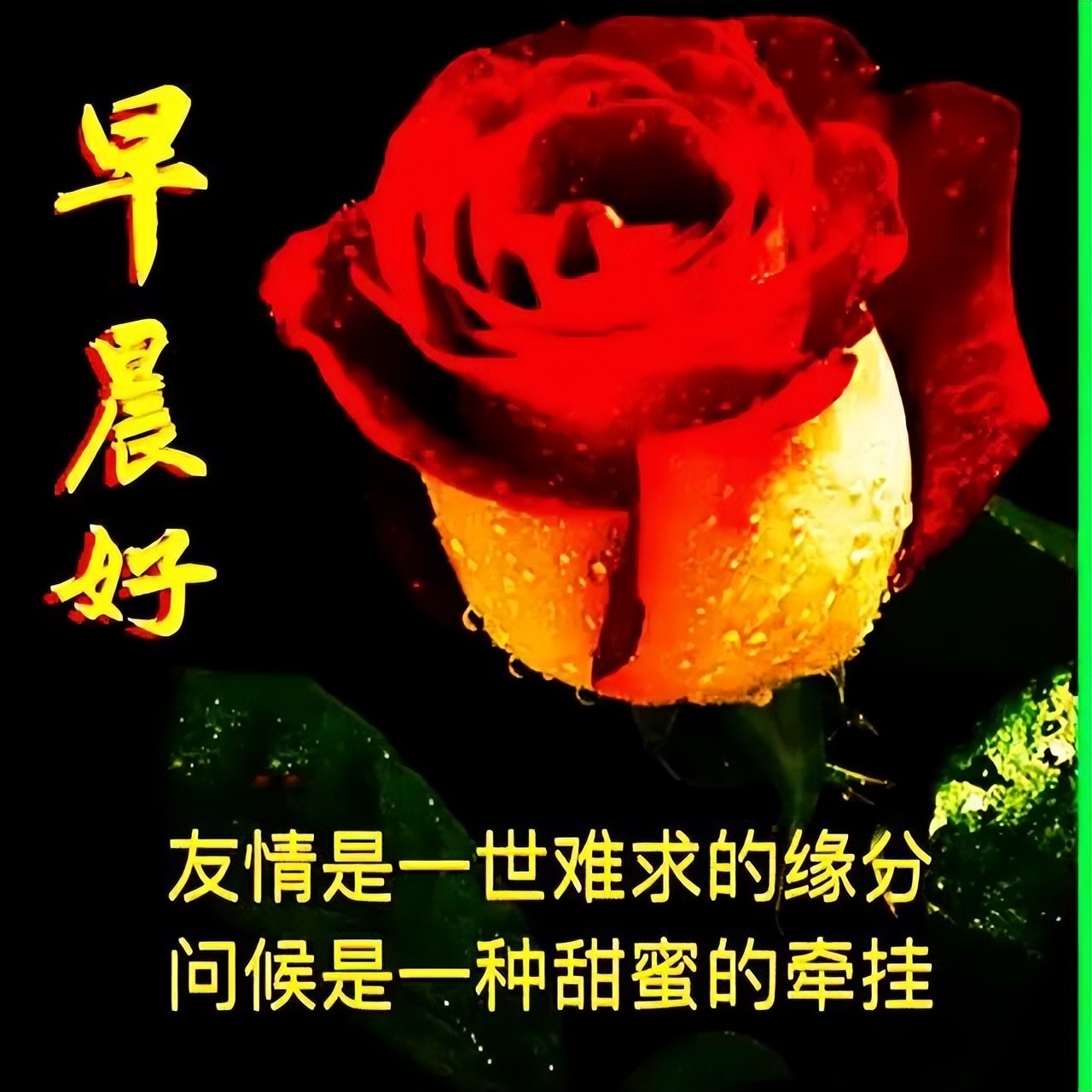 微信早安表情包大全 快乐永不老，健康才是宝，善待自己，保持微笑图片