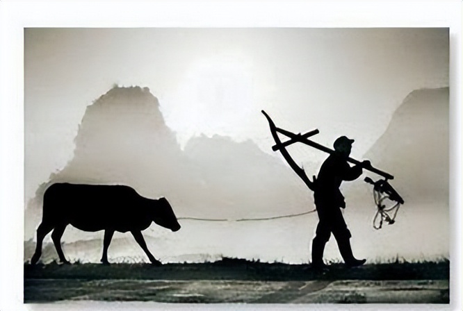 你活着，但你看过《活着》吗？