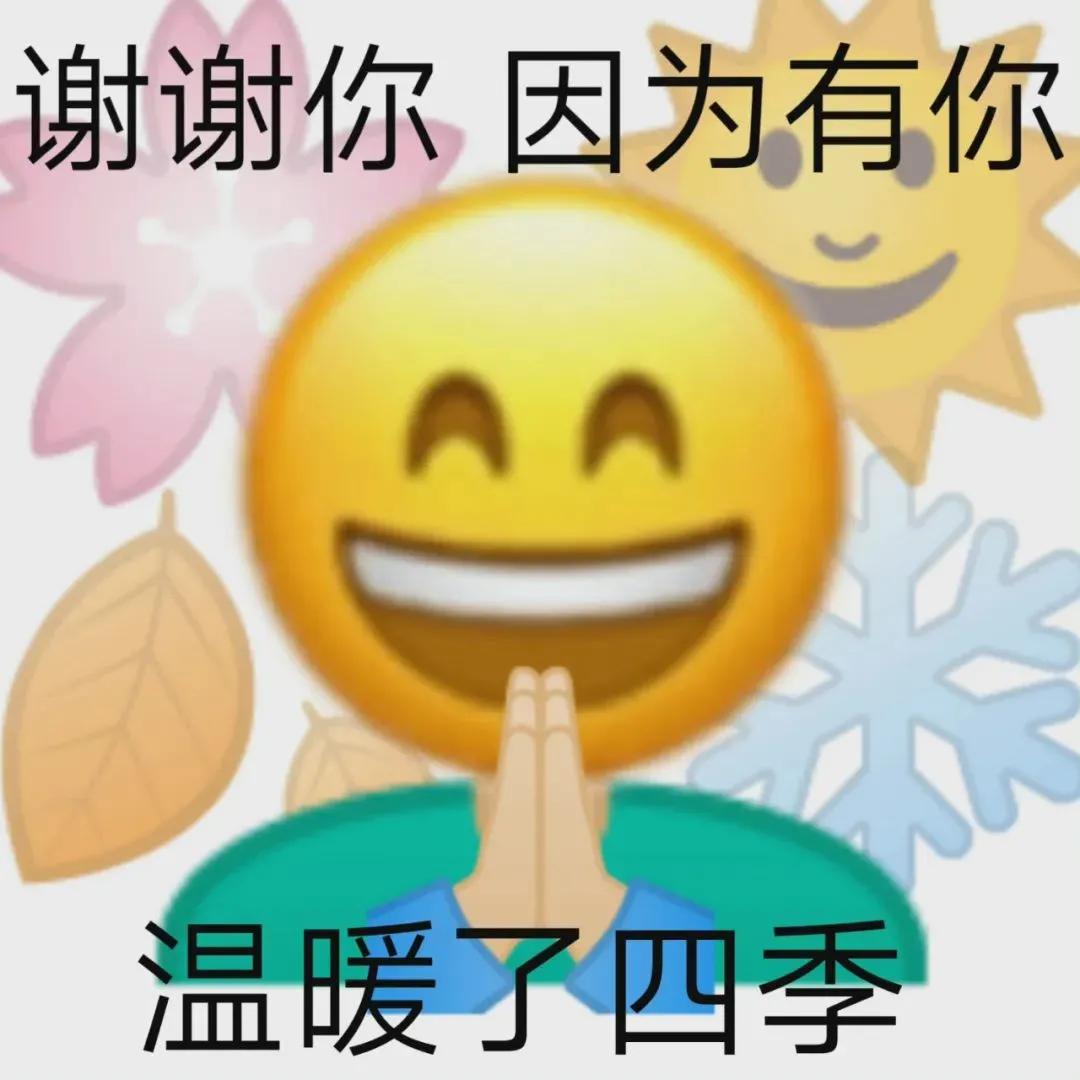 表情包（注：此文有点晃眼）