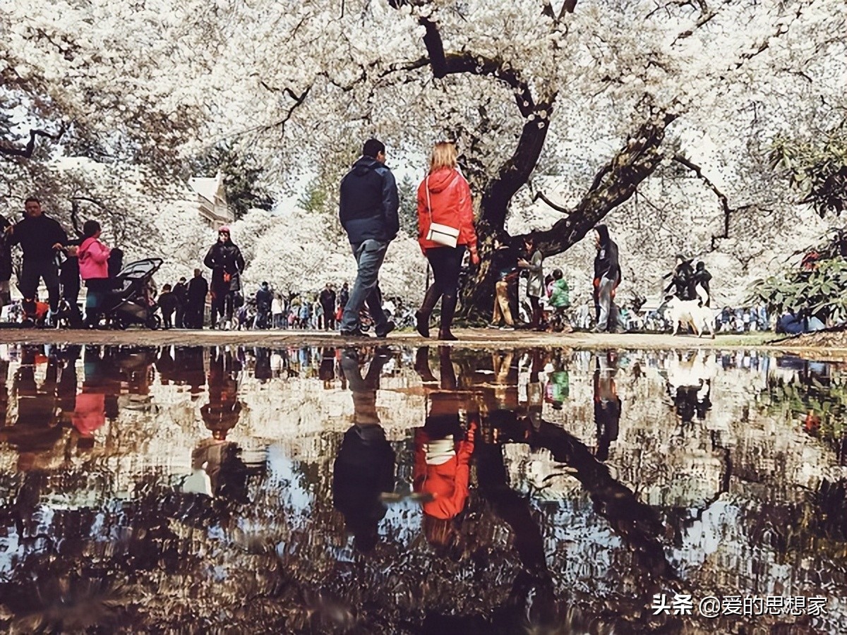 为什么你總觉得沒有人會喜歡你