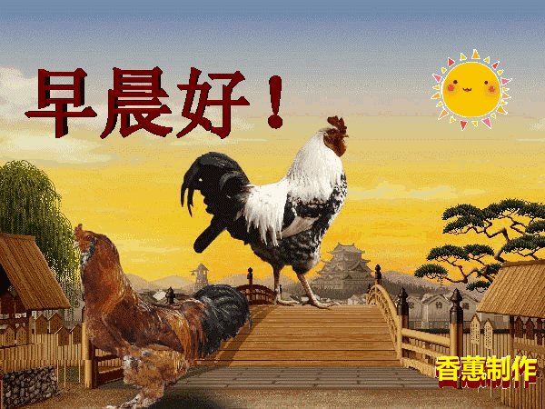 早上好表情包 早晨好动态问候图片 美好的留在心底图片