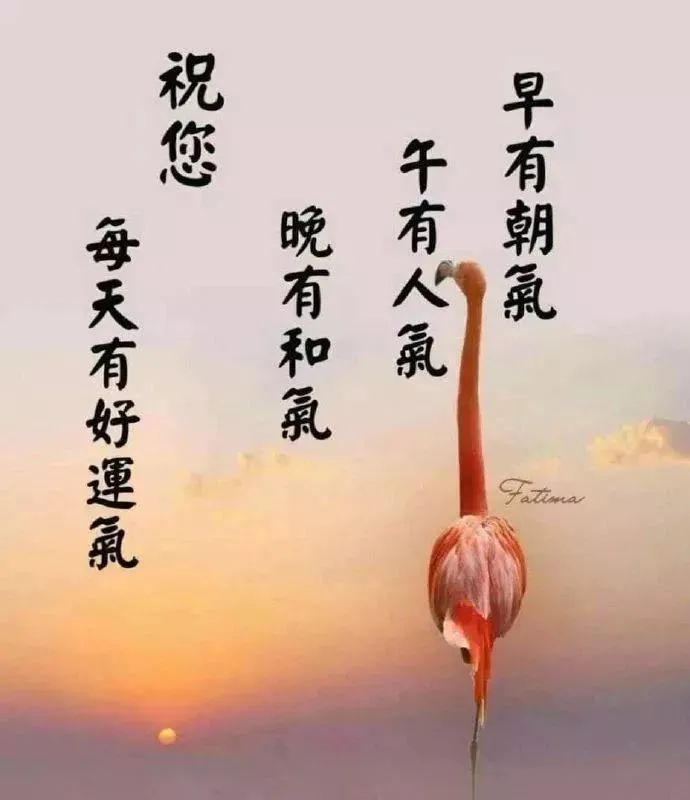 周末早上好祝福图片 早上好问候句子 早安喜悦 祝你心想事成图片