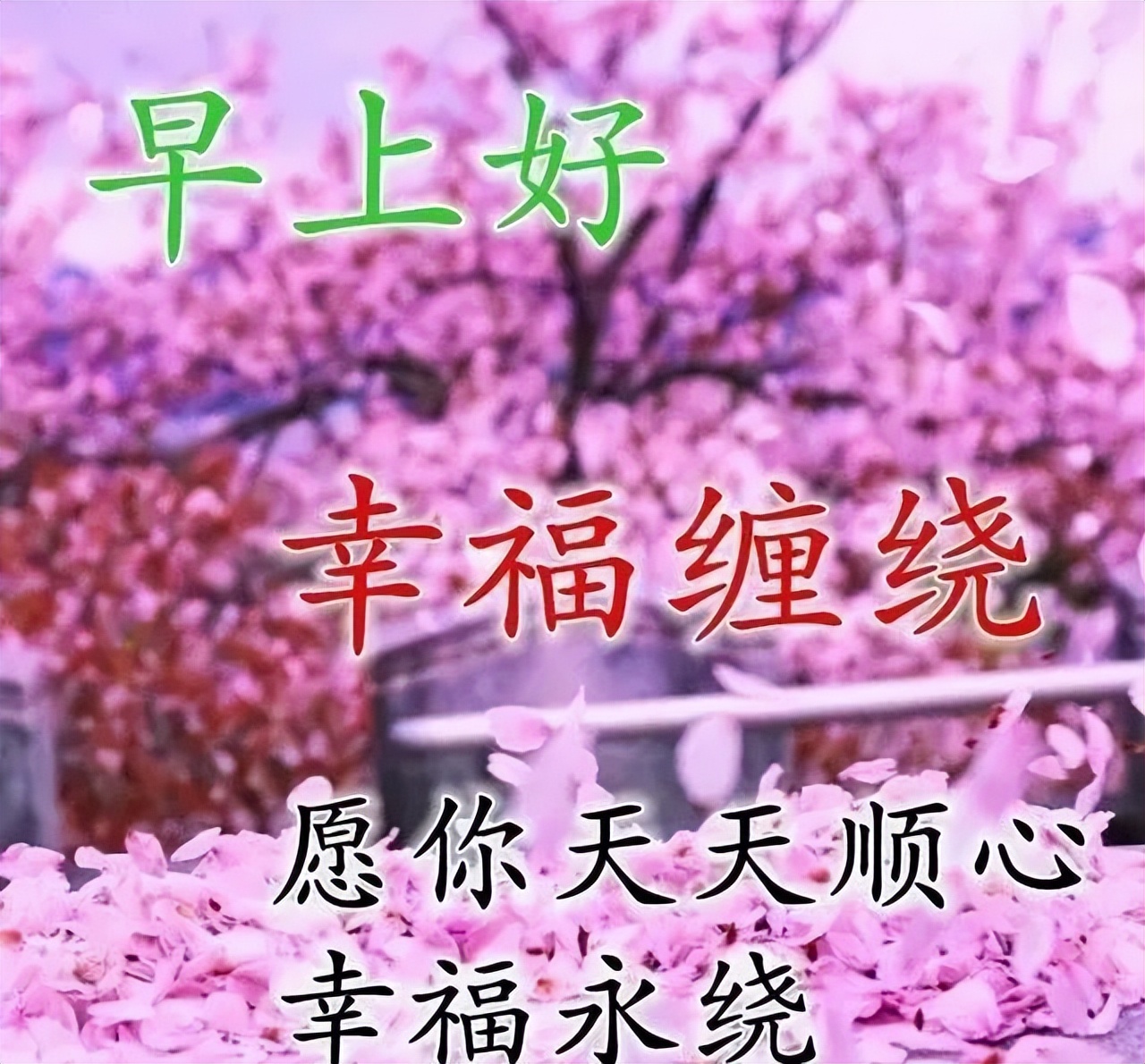 漂亮的早上好图片 温馨的早安问候语早安心语 愿你天天顺心 幸福永绕图片