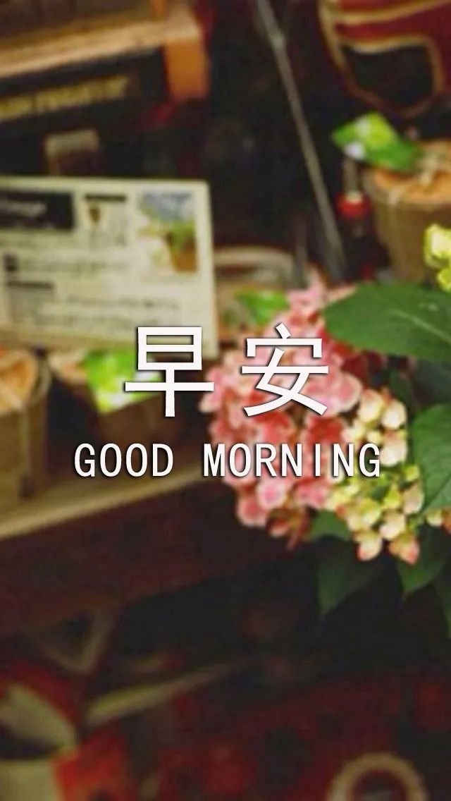 清晨问候大家早上好的动态图表情图片 幸福从早安开始图片