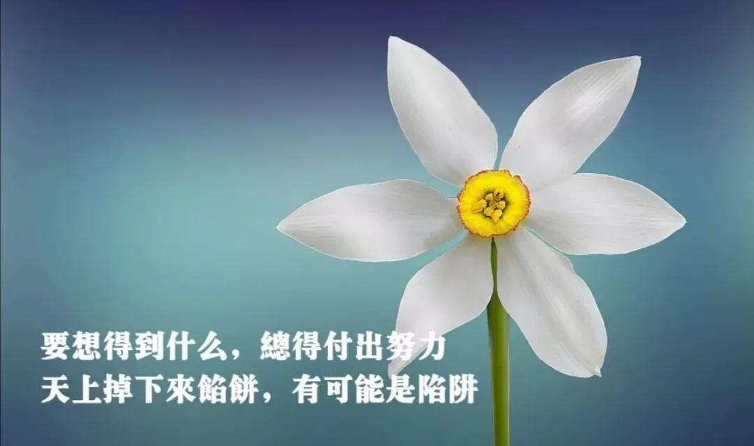 致自己（与你共勉）