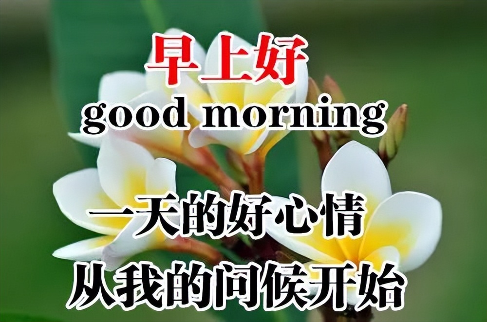 早安表情包,秋风起,天渐凉,开心快乐送吉祥，一天美好从问候开始图片
