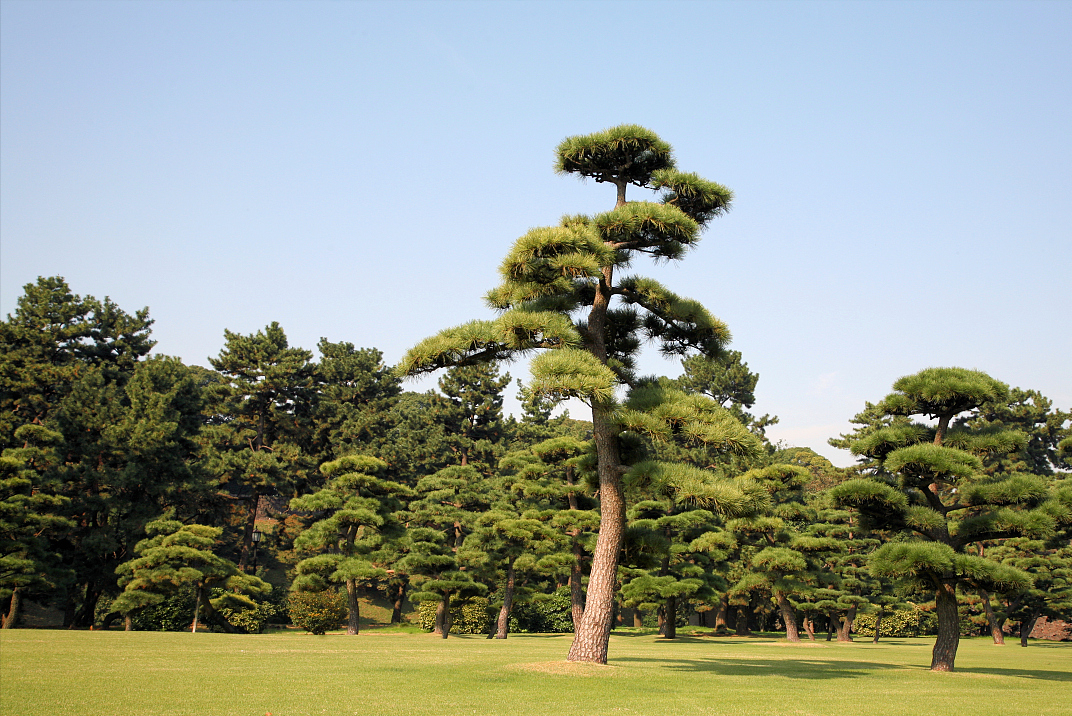 亚热带季风气候特点_东方瑞丽网
