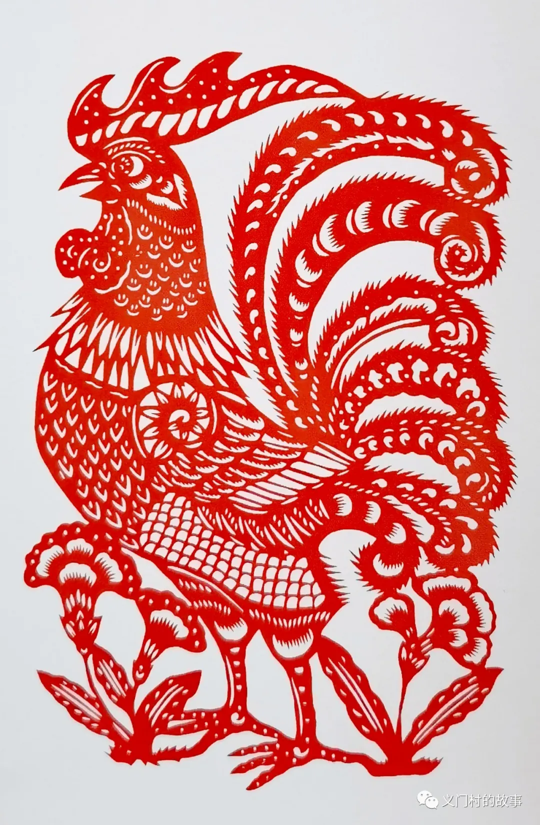 金鸡报晓 赏邮(鸡)话鸡(图)