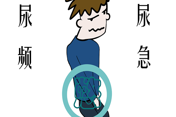 尿频尿急?不一定是前列腺问题,或是膀胱病了,中年女性也应了解