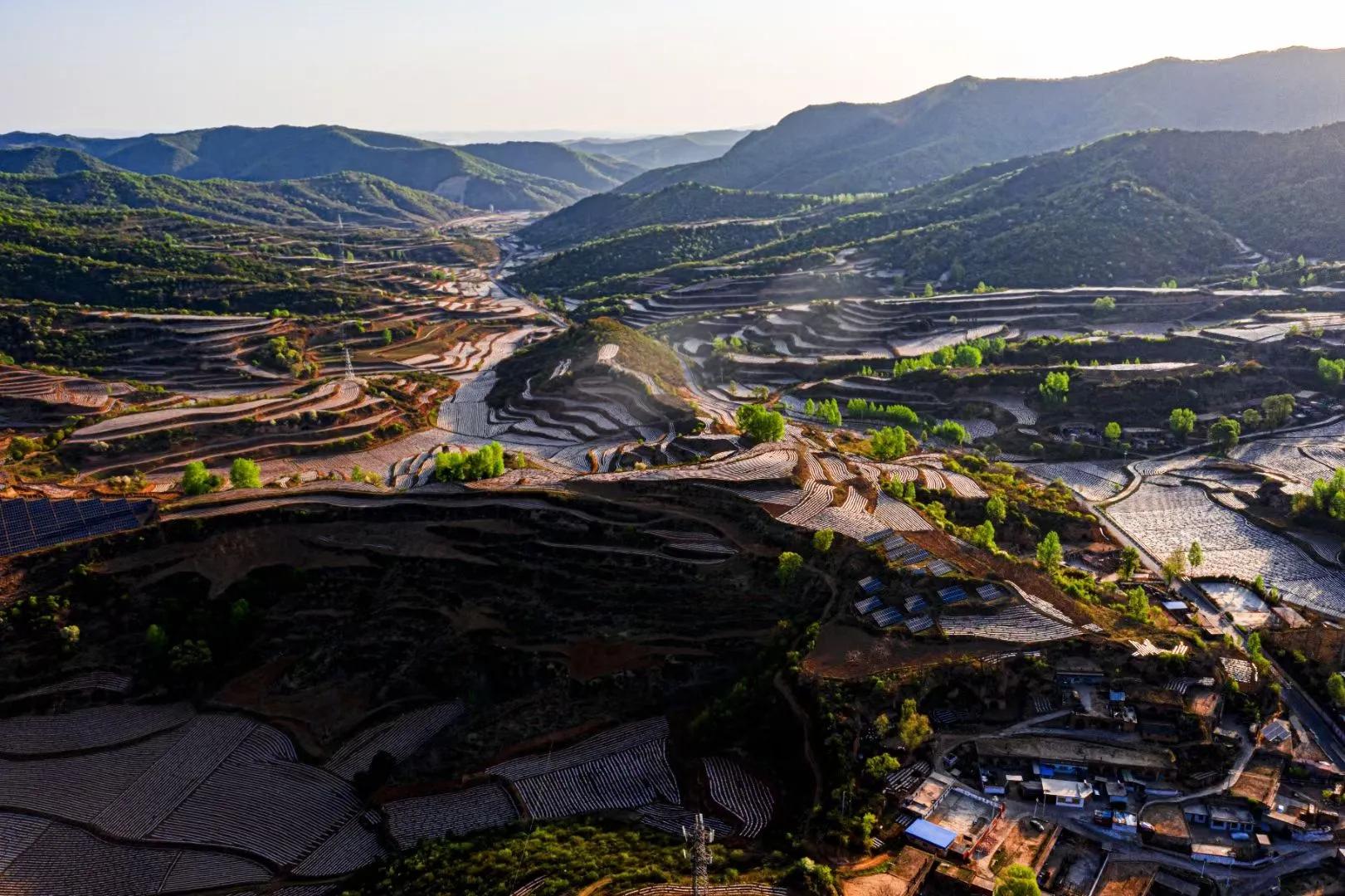 和"隰县"握个手,认识认识