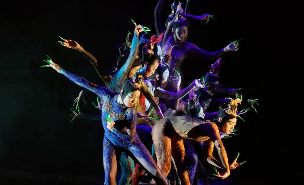 杨丽萍的现代舞《春之祭》在全球百年400个版本中可谓独树一帜