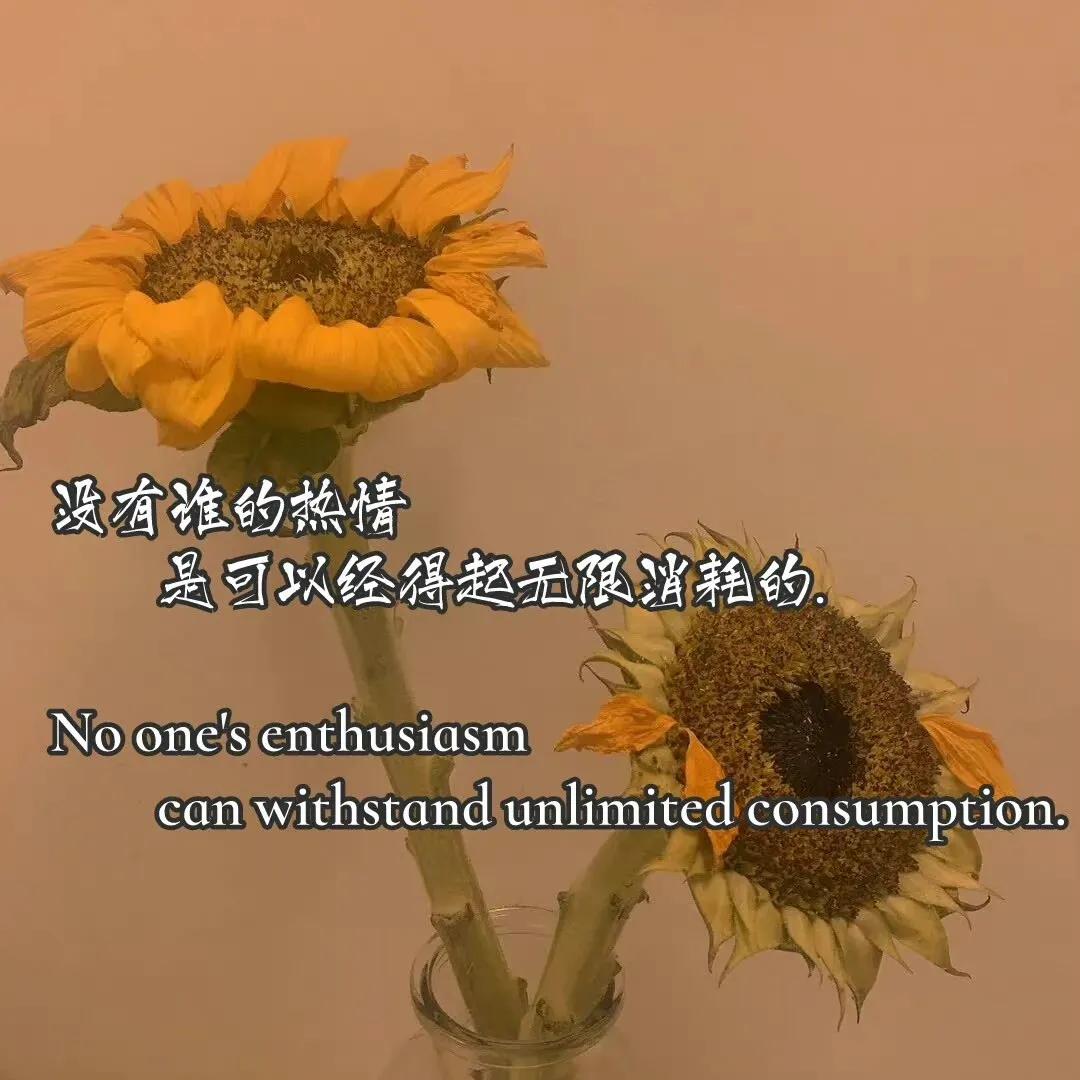 文案｜发朋友圈的文案短句