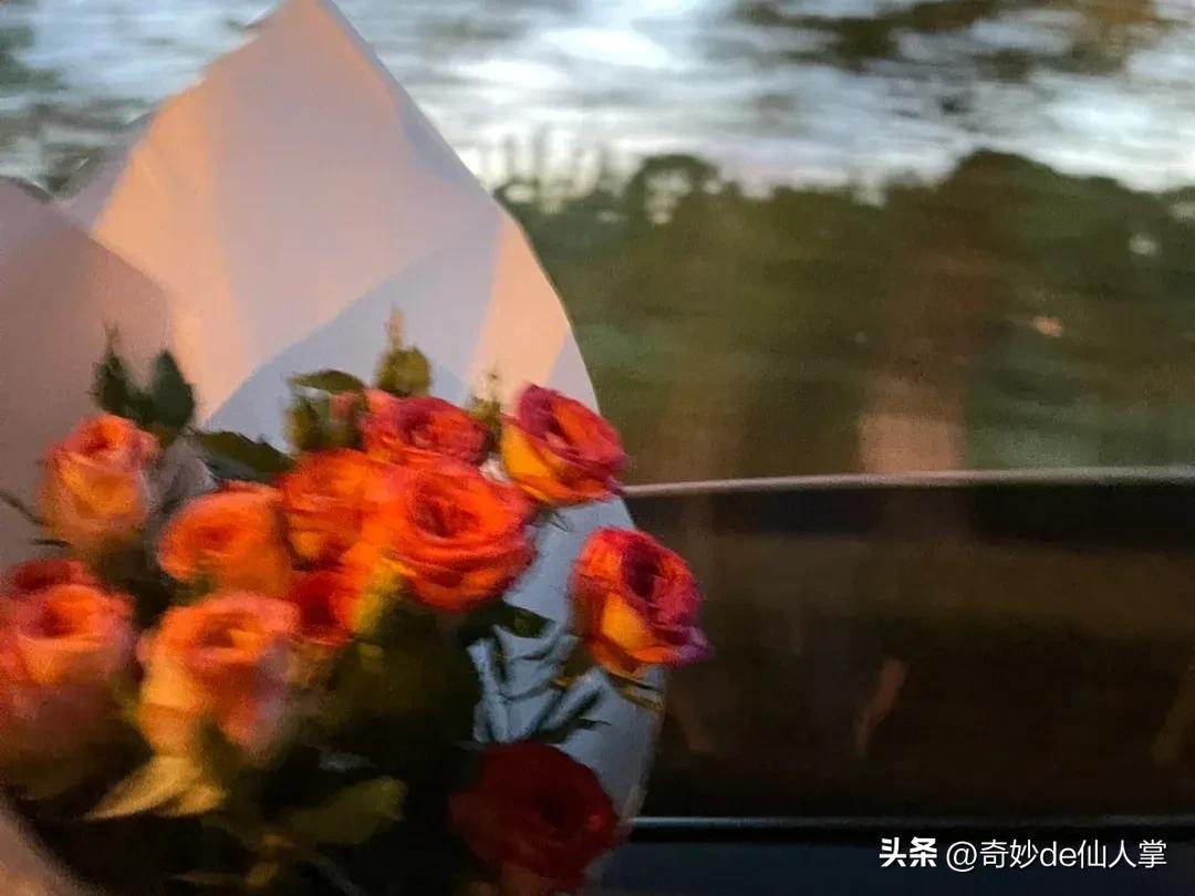 小众高级感文案‖你积极向上，平淡的日子里也会泛着光