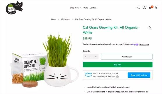 “Buy with Prime”首批用户评价出炉！亚马逊新飞轮值得期待？