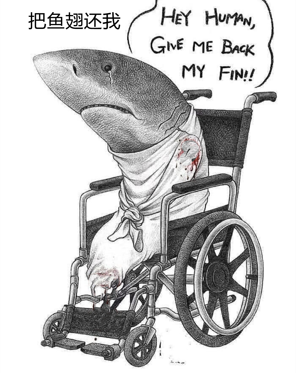 以漫画的方式表达动物对人类的不满,有时或许真的是人们一厢情愿