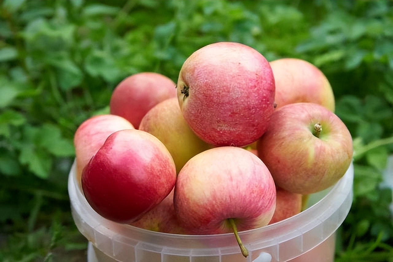 沈春阳瘦身成功，变身“白富美”？学会科学减肥，或许你也可以