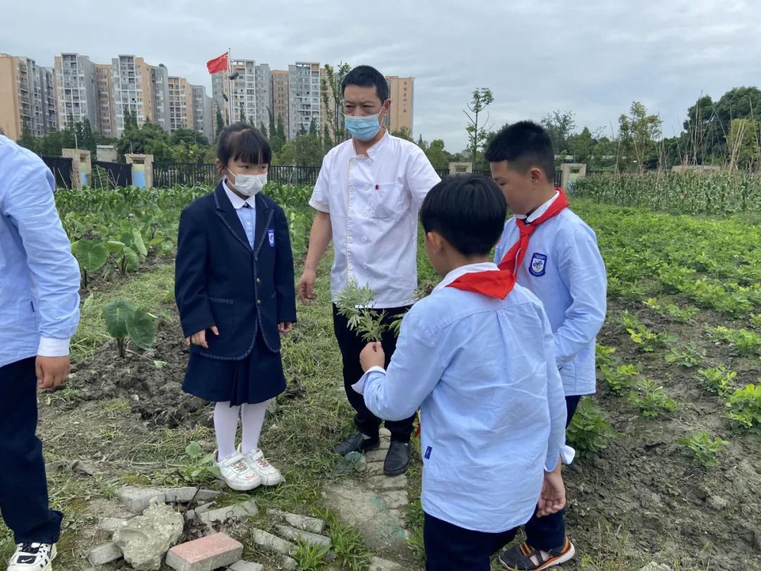 劳动挥洒五月余热 奉献迎接六月喜悦｜记实小外语校劳动系列课程