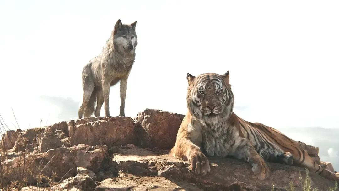 奇幻森林（电影）