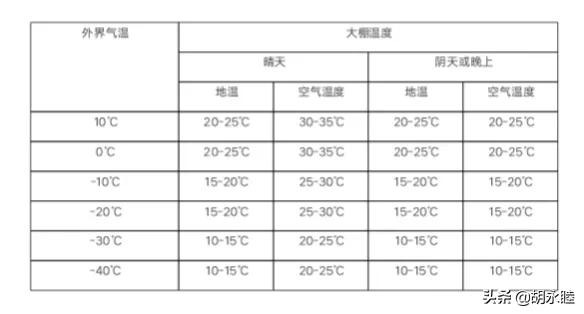 2000平米大棚，4个月取暖费30多万元，种啥能有这么高的收益？