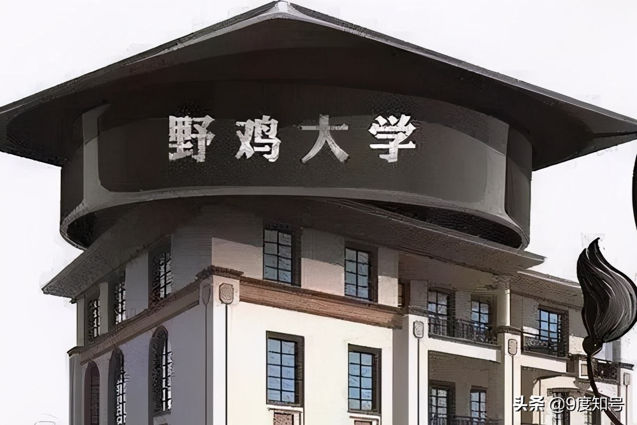 中国野鸡大学名单表