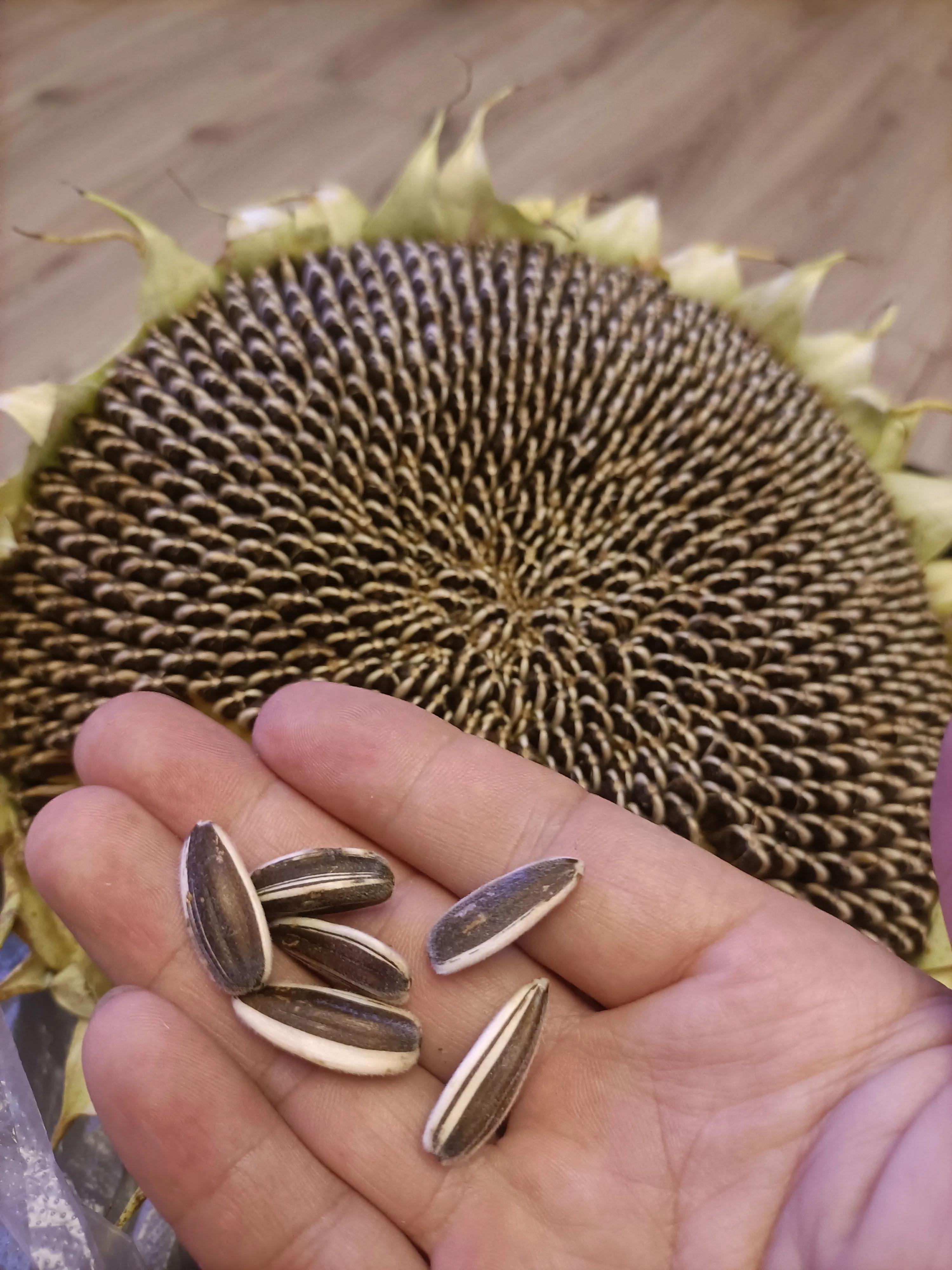 生活，就是一部电视剧