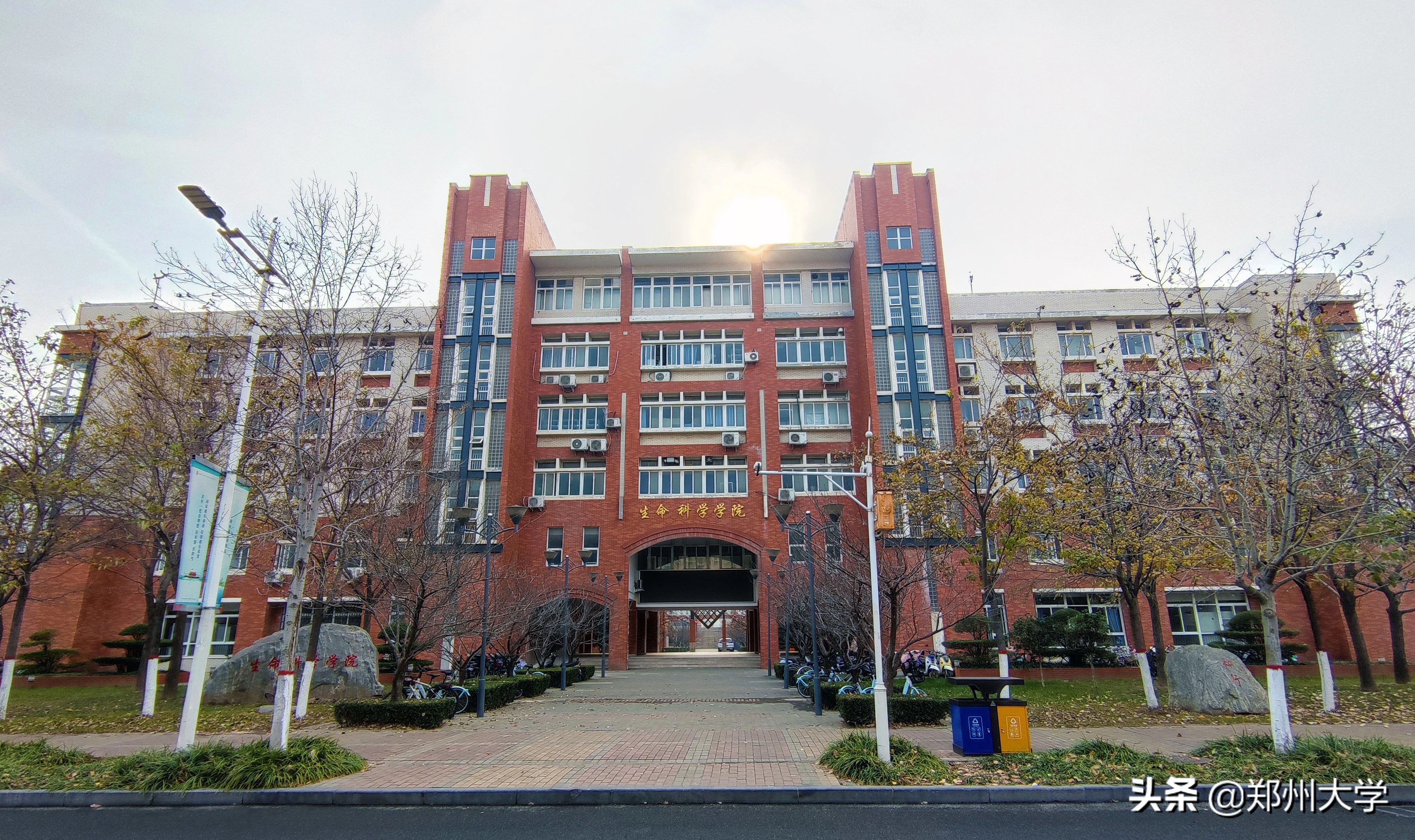 郑大科创之星 || 郑州大学生命科学学院教授王爱萍：让团队研制的新冠肺炎疫苗服务于疫情防控