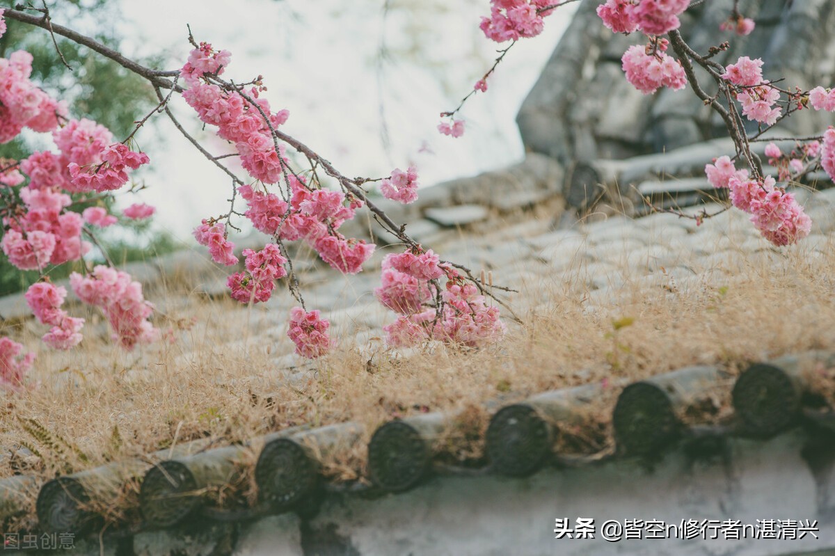 人生一世，缘起缘灭，皆有定数，一切皆是命中注定
