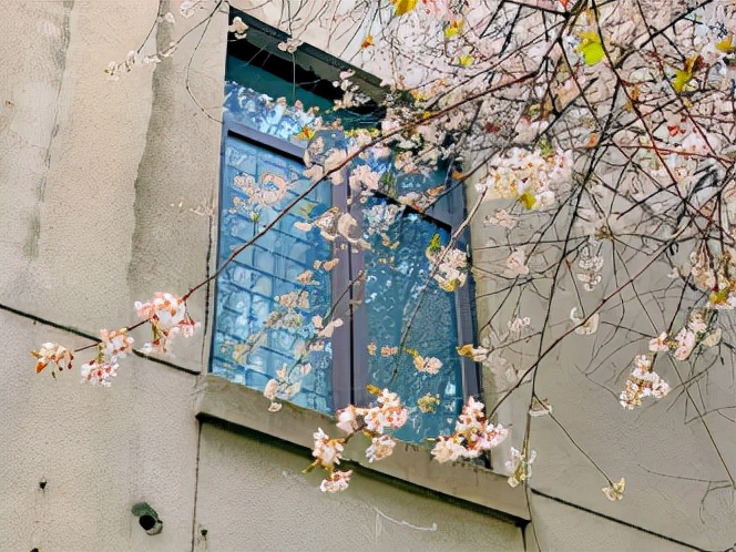 高颜值！陕西这所高校位于特大城市，占地4300亩！网友：风景绝美